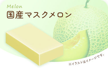 国産マスクメロン